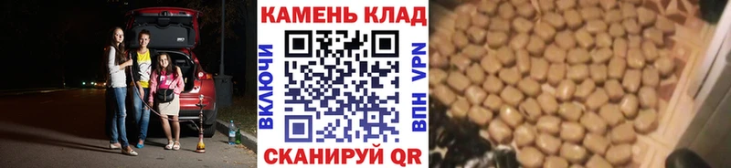 как найти закладки Тайга ГАШ 40% ТГК