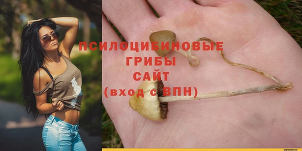 сатива Арсеньев