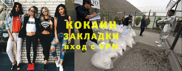 сатива Арсеньев