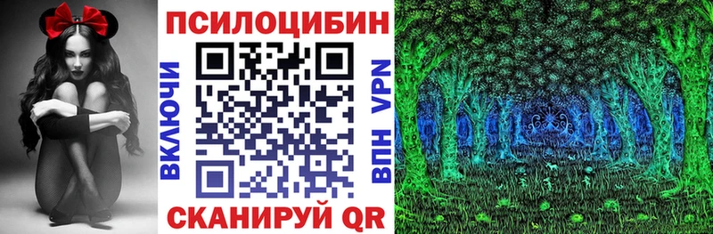 Галлюциногенные грибы Psilocybine cubensis  купить закладку  Тайга 